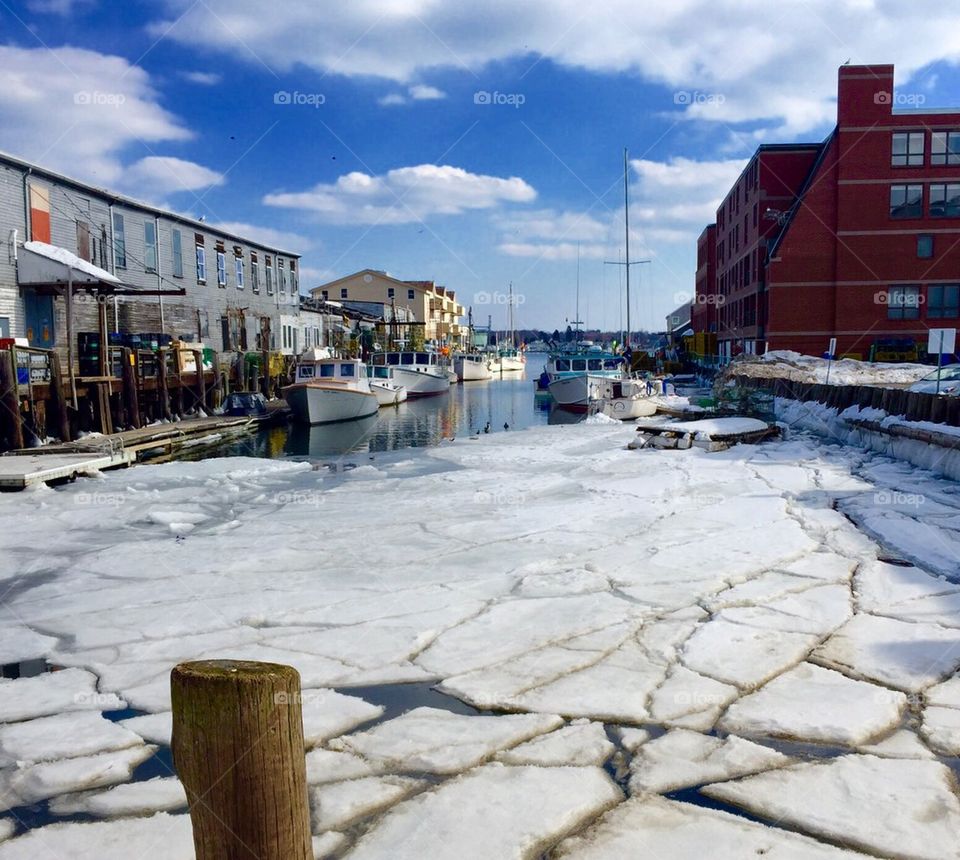 Icy Portland Maine Harbor