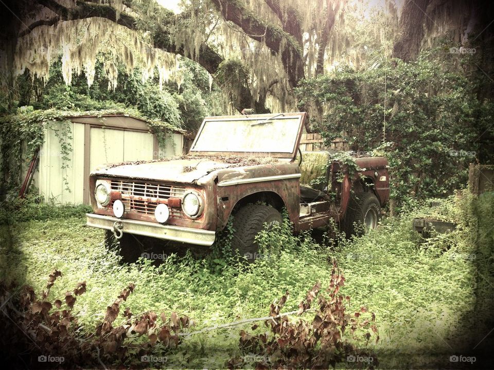 Old Bronco