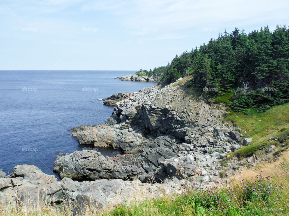 Middle Head Cape Breton Nova Scotia