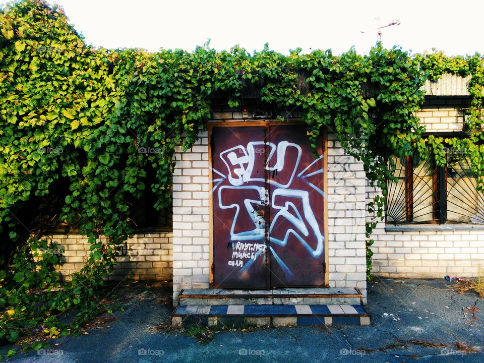 old building braided with vineyard