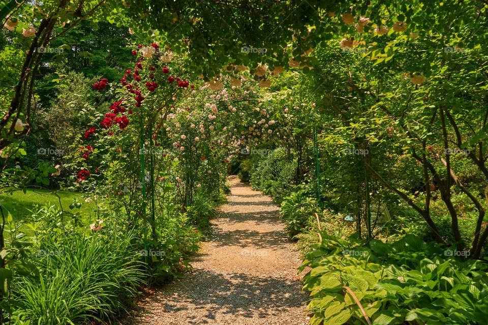 A walk down a path through arches in a garden in summer 