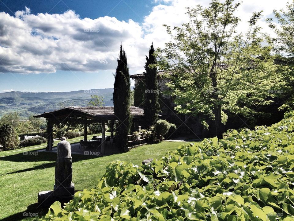 sky trees agriturism cypress by alekime