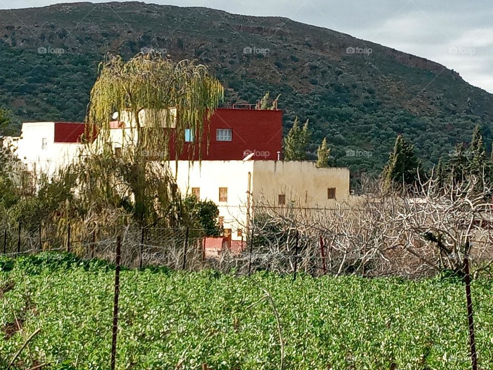 Population between the nature