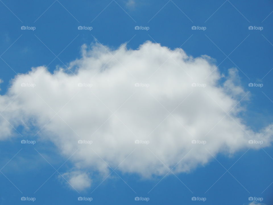 The fault in our stars