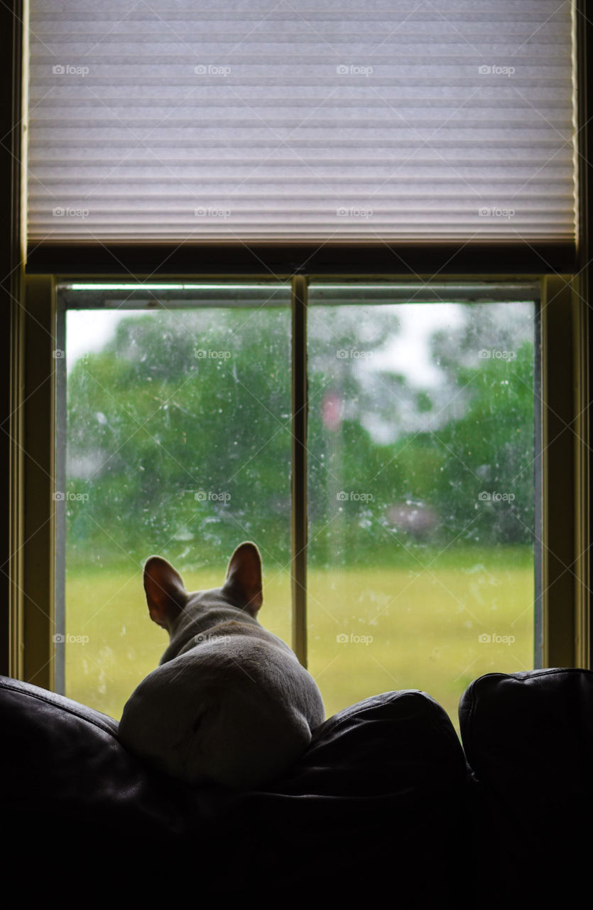 Our baby princess is obsessed with looking outside by the window. It’s her most favorite spot. Especially when it’s Sunday and it’s church day! One of the things that make her happy every day.