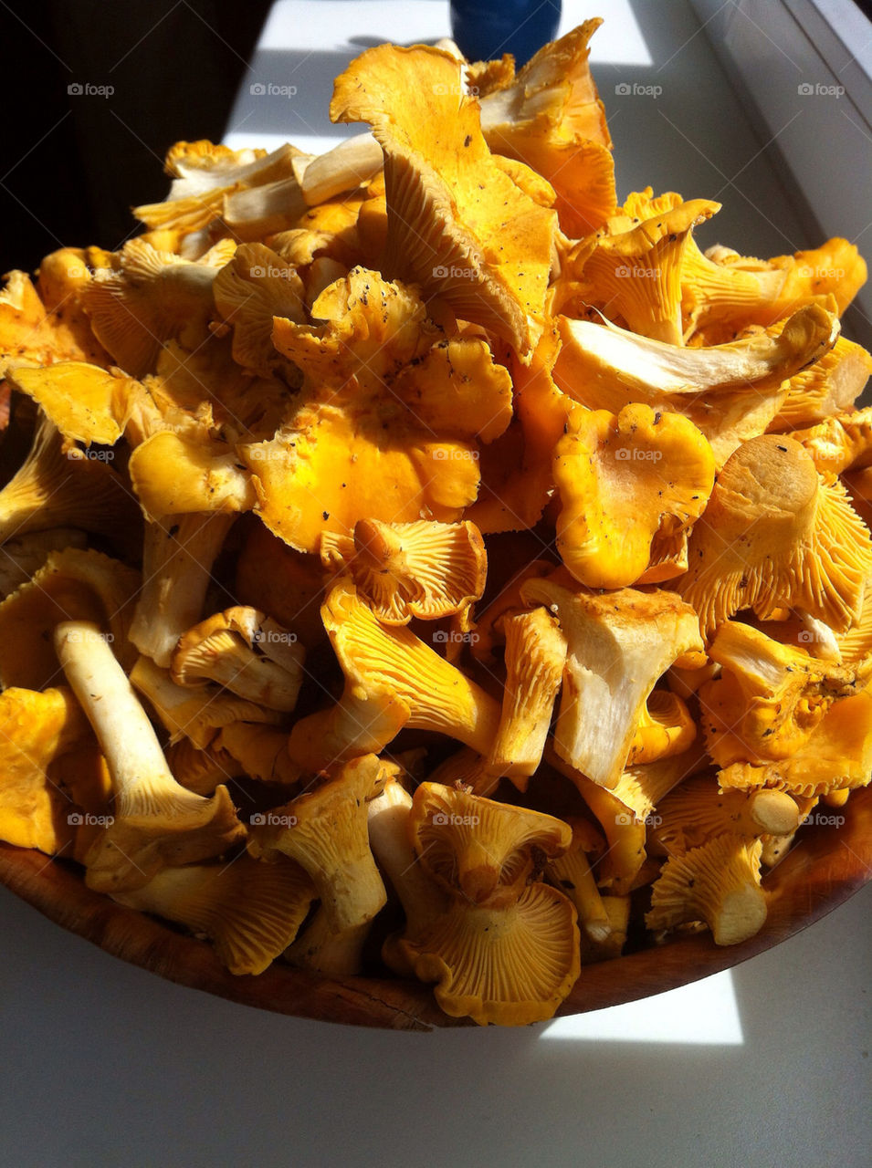 food summer forest eat by janispurins