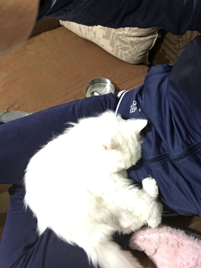 sleeping