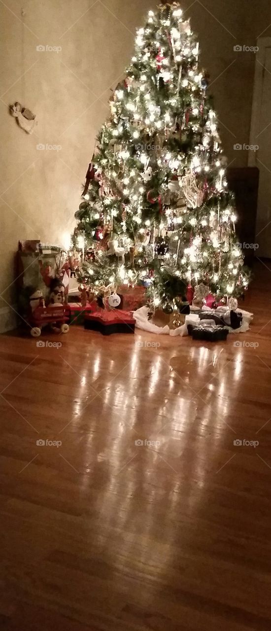 Christmas Tree Mission