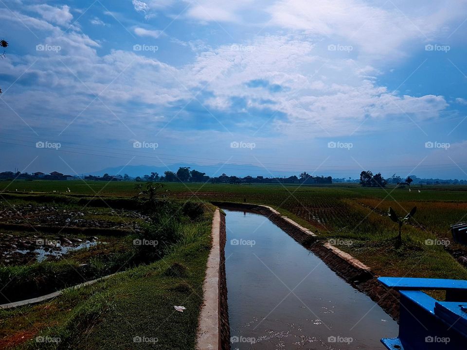 Irrigation system for vilage rice fields, view of vilage rice fields, blue sky, bright white clouds,