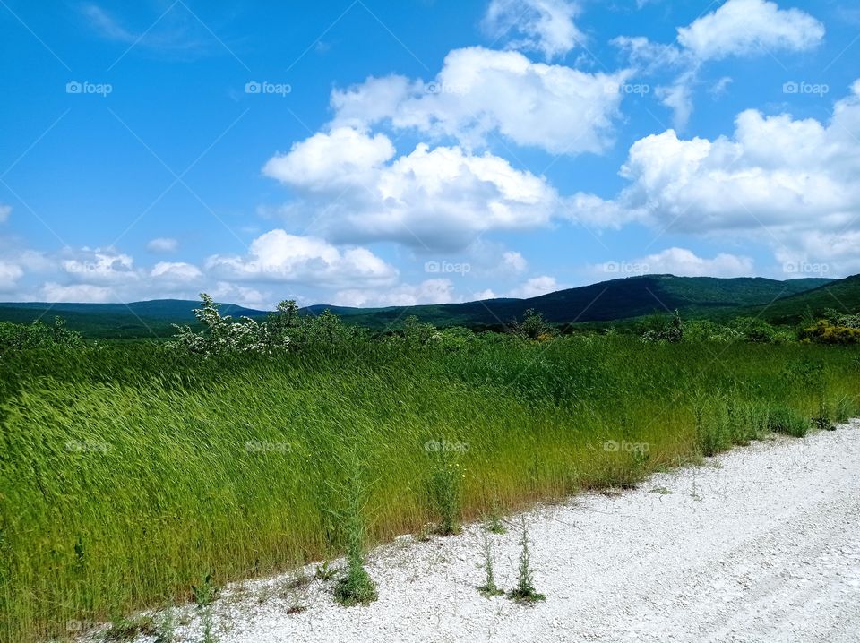 The road to the mountains. Mountains. Floating clouds. The grass swaying in the wind. Windy weather. Sunny day.