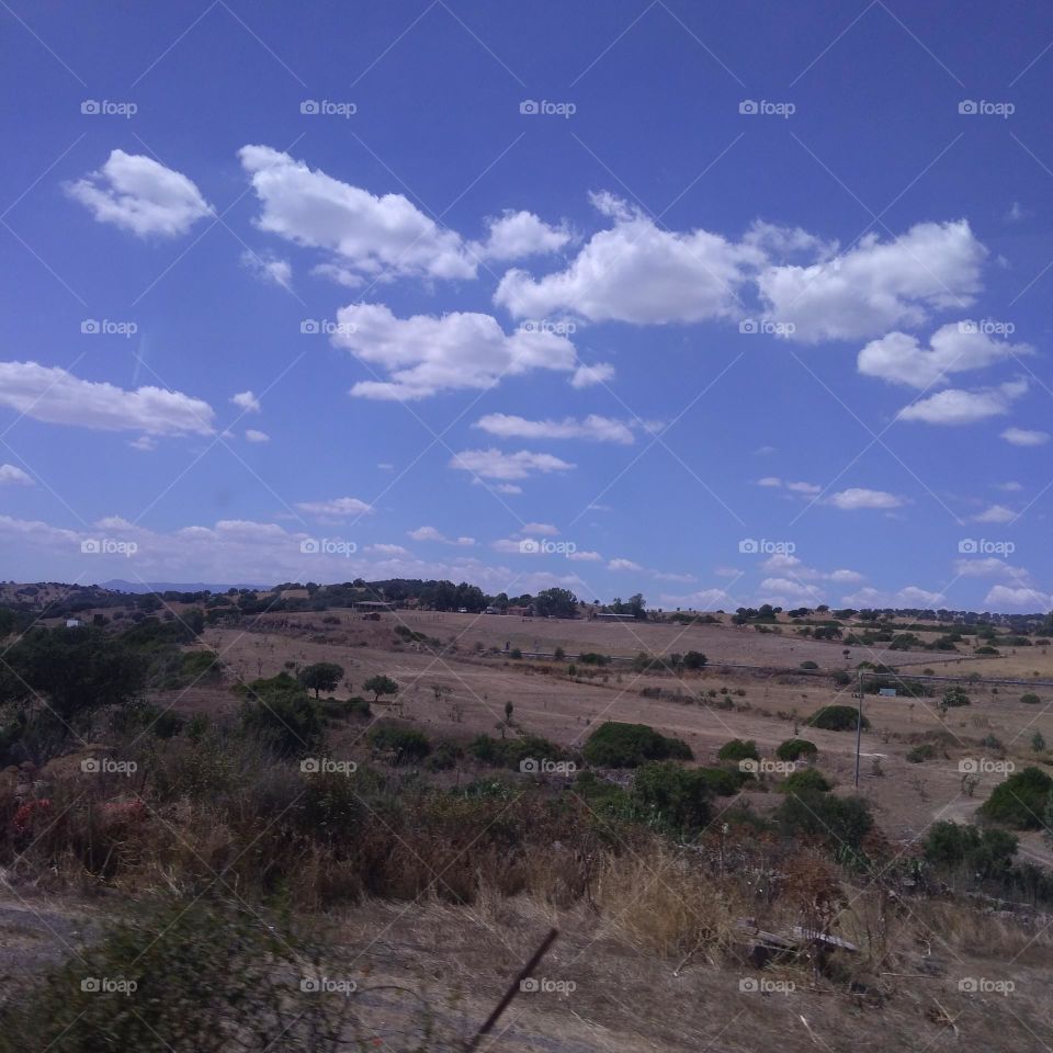 Battle: Countryside vs City