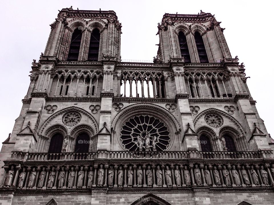 Catedral de Notre Dame. Catedral de Notre Dame (Paris - France)