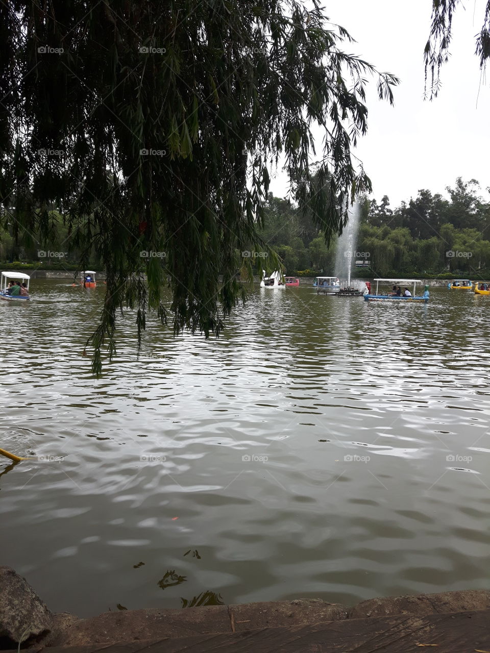 mini lake at resort park
