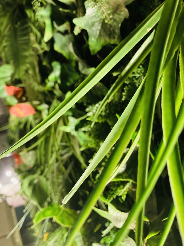 artificial plant