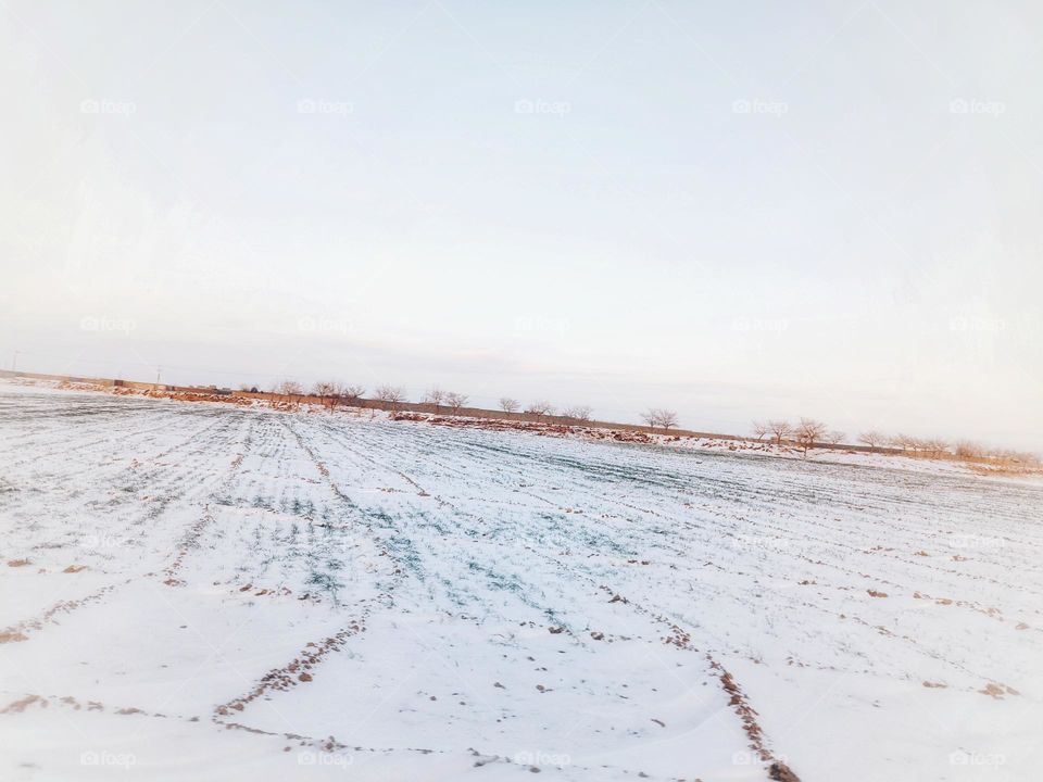 Cultivated fields went to hibernation under a blanket of snow safely .