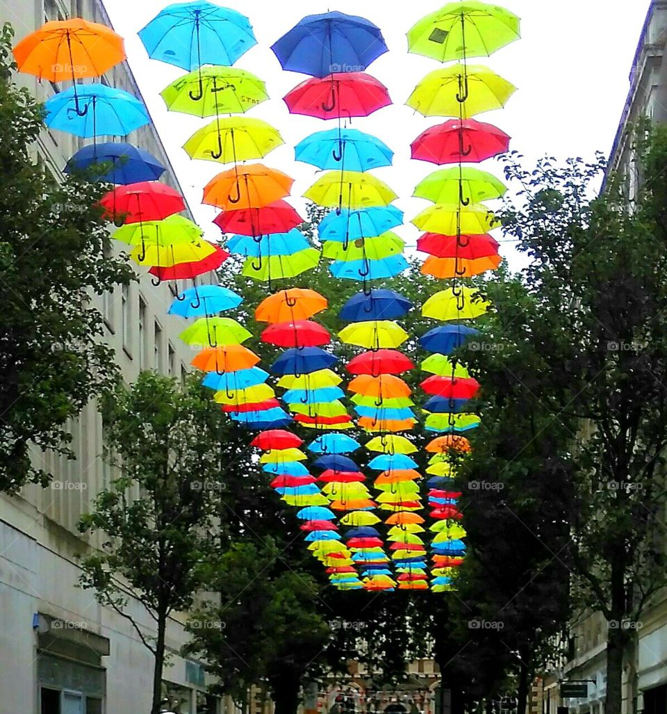 A Flock of Umbrellas