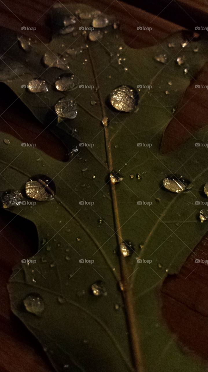 water drops on a leaf 