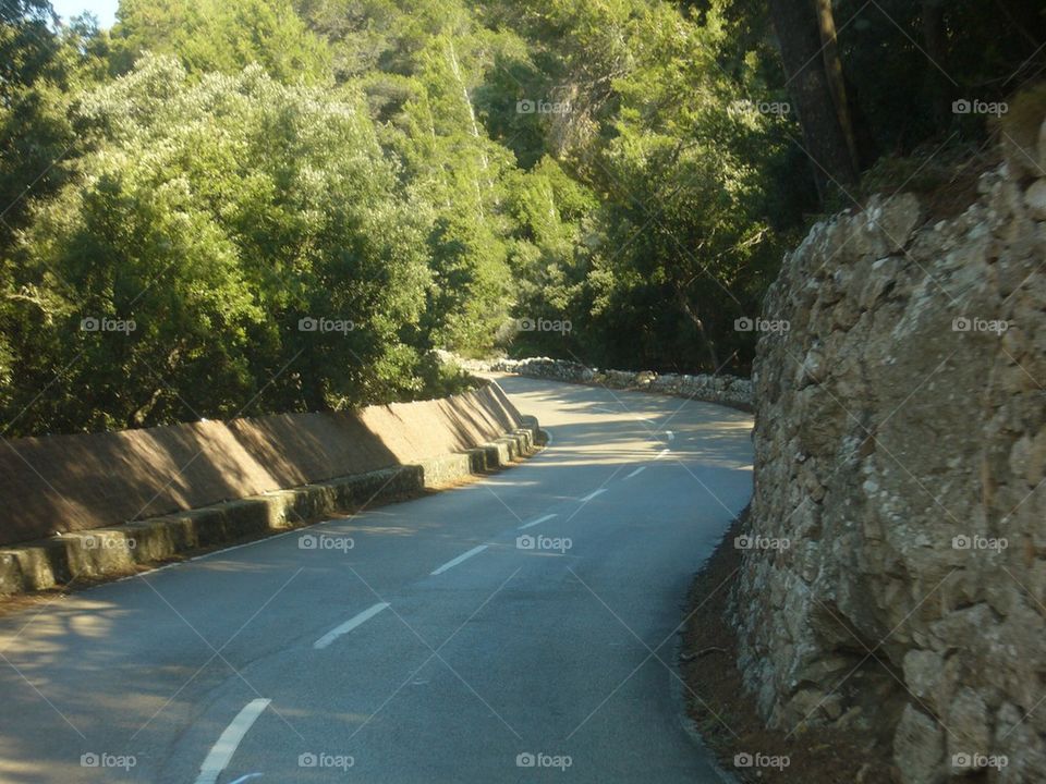 Road in Mallorca