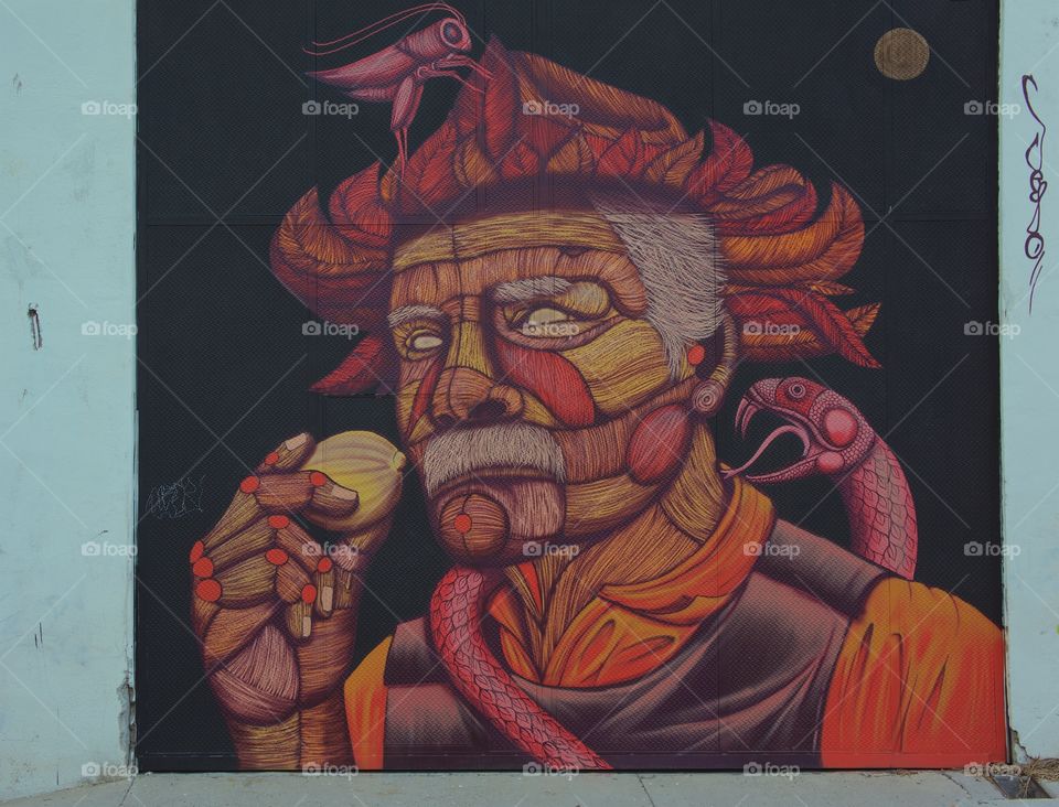 A fine art piece painted on a garage door in San Miguel de Allende, Mexico. Name  of artist is has not been determined.