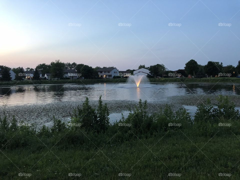 Beautiful pond in the evening 