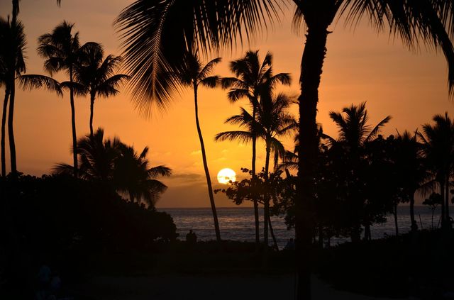 Evening