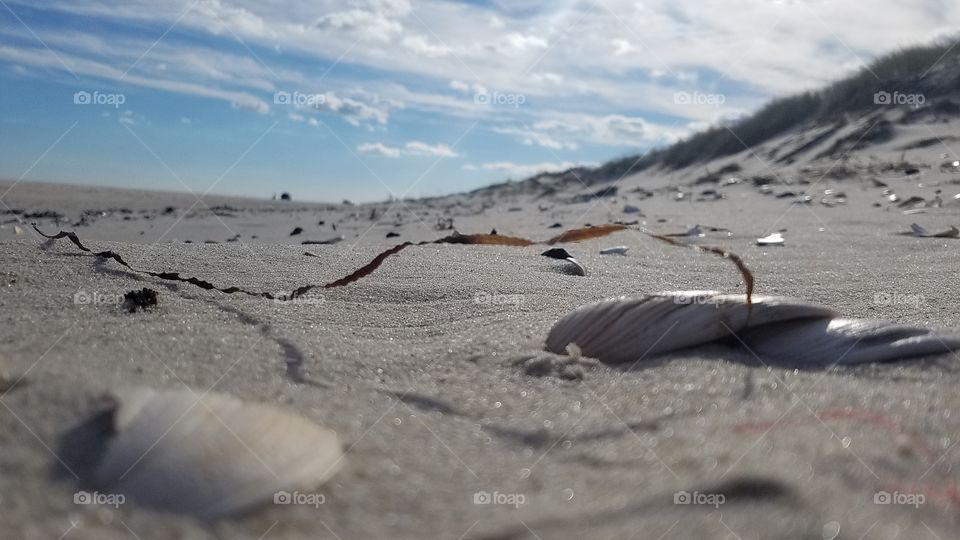 Beach, Sand, No Person, Sea, Landscape