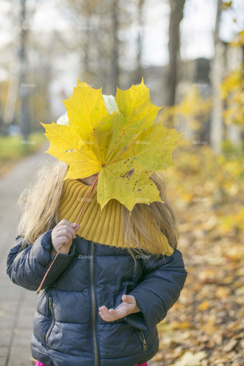 yellow leaf