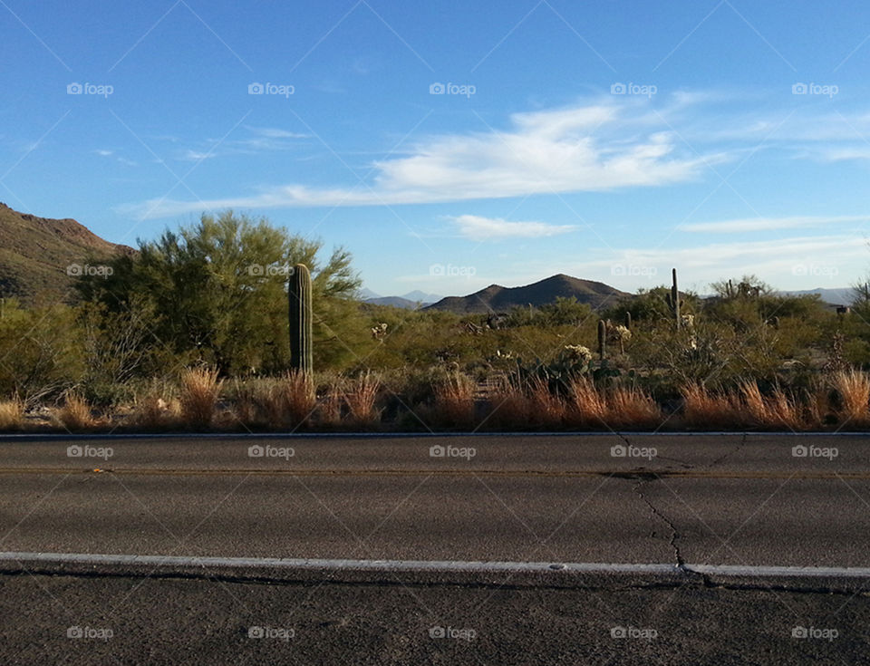 Desert view - Arizona