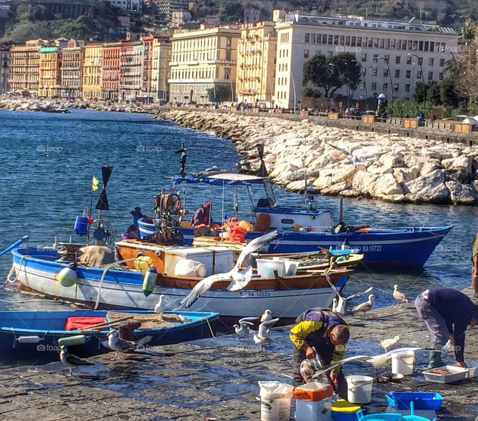 Napoli 