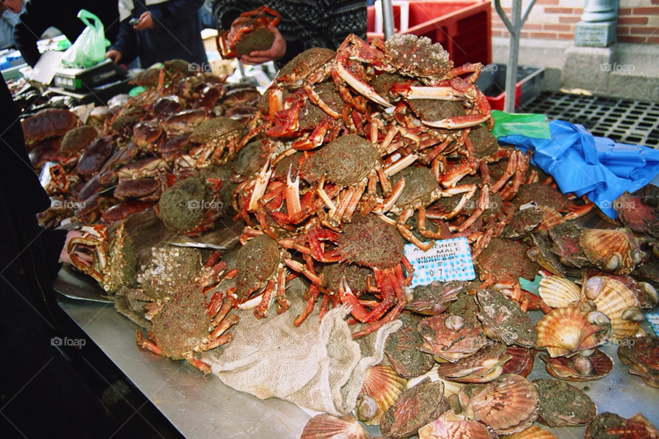 market crab seafood crabs by izabela.cib
