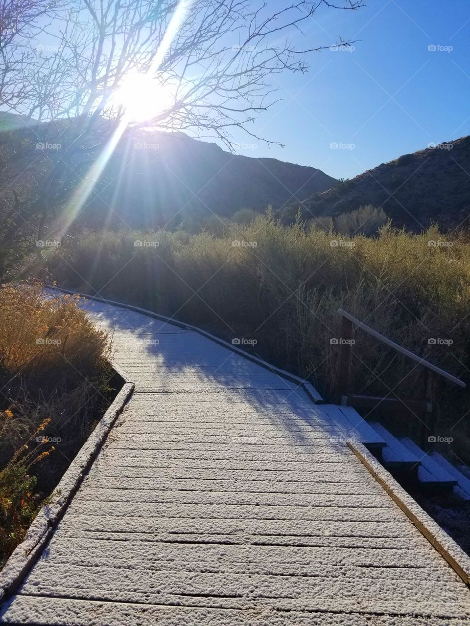 Frosted boardwalk on a nature trail hiking path