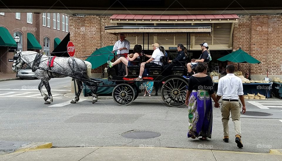 horse carriage rides in Charleston South Carolina