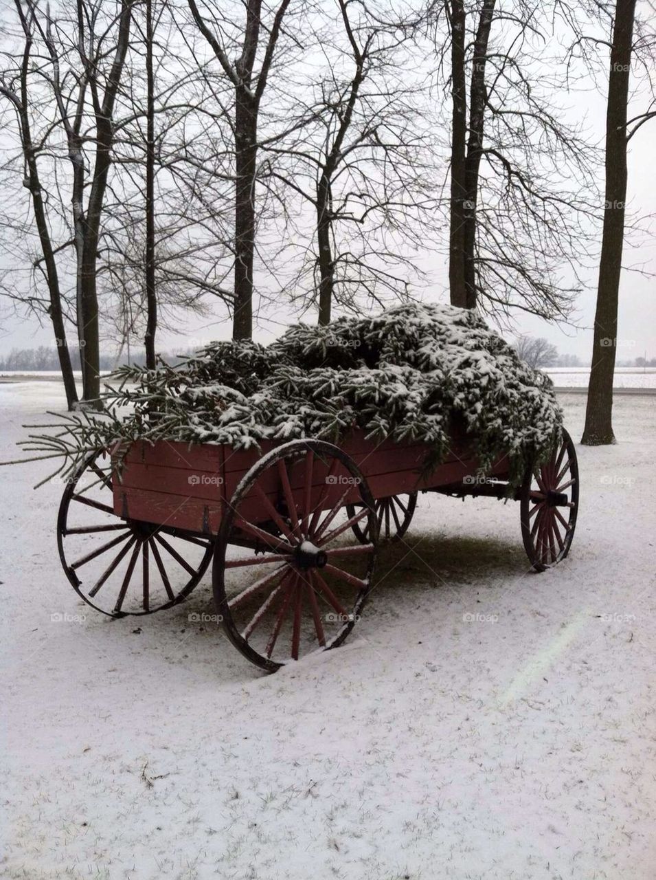 Winter wagon