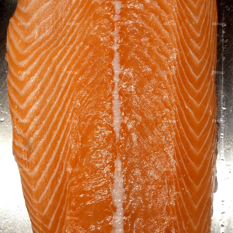 Fresh salmon from the sea