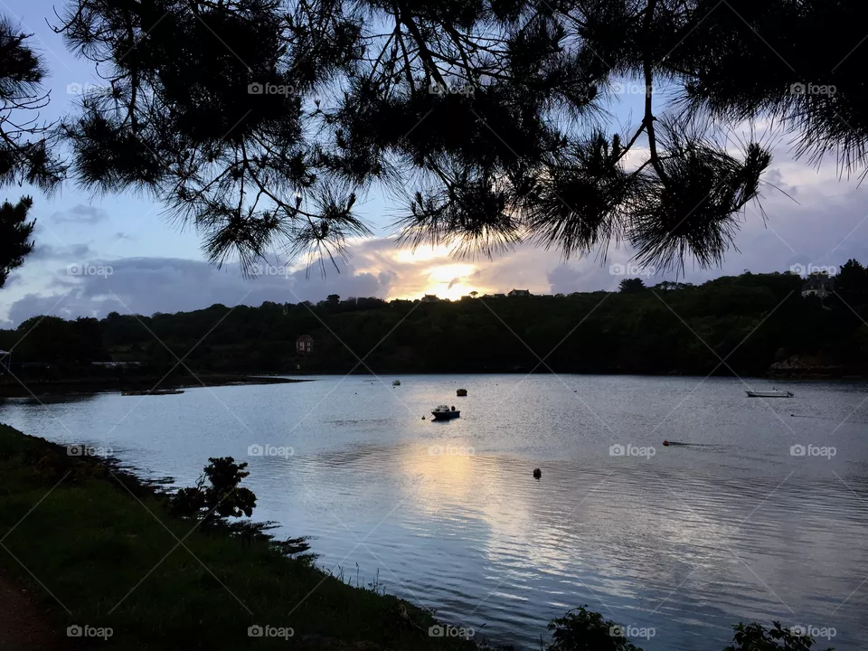 Dreaming evening 