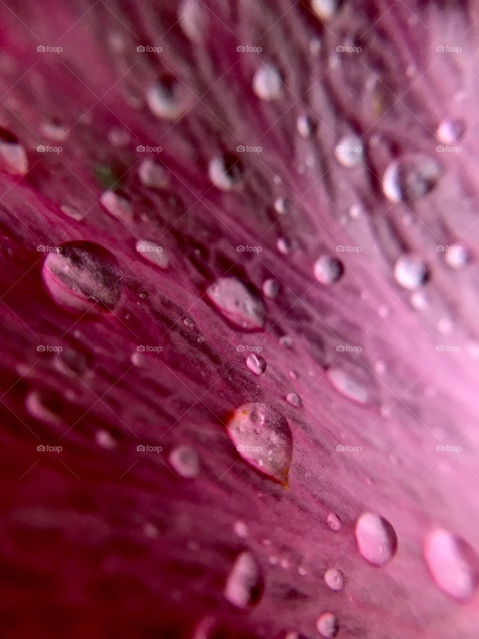Macro water droplets 