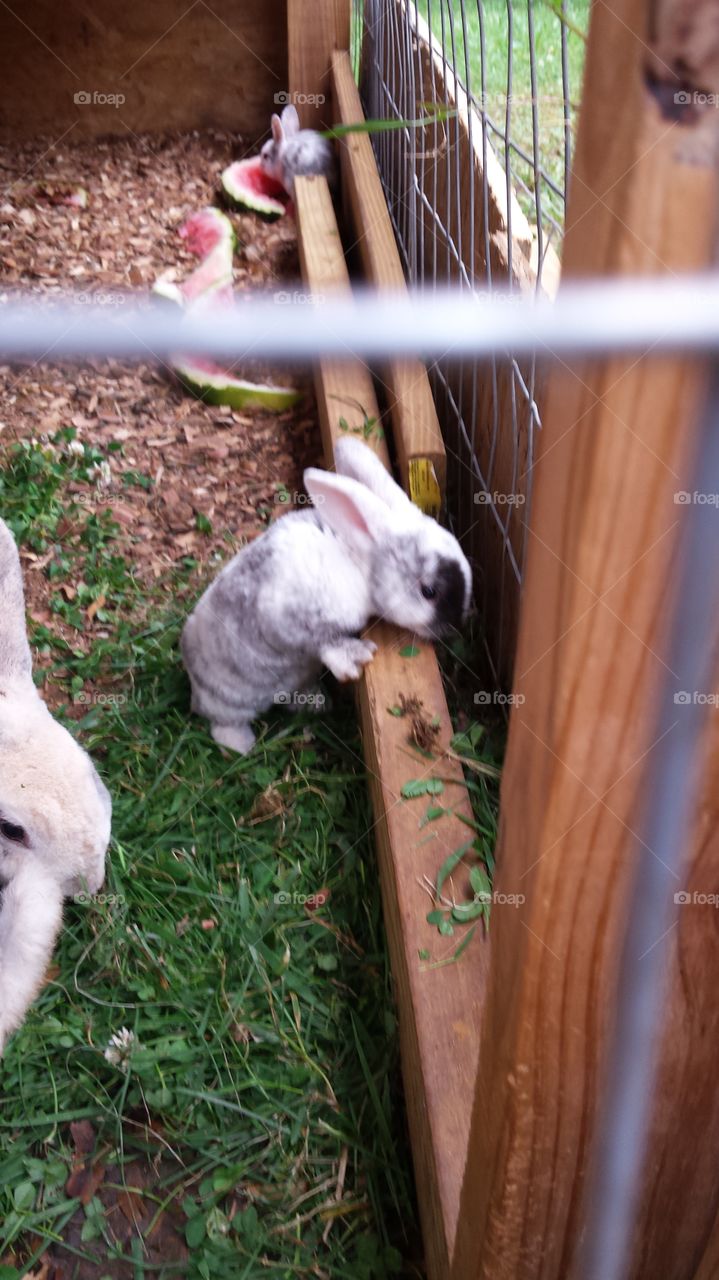 the cutest little girl she is so sweet and cuddly