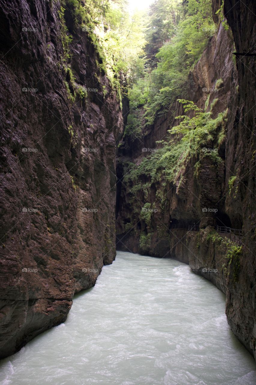 Narrow limestone canyon aare gorge
