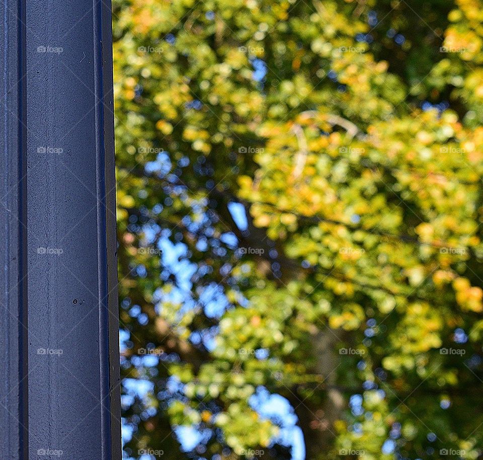 Colorful nature detail