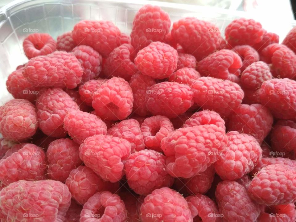 raspberry