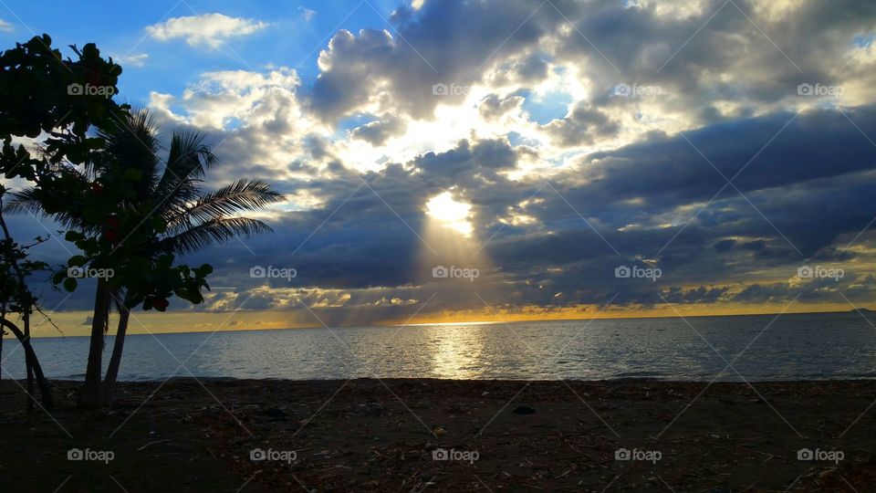 Sunset at the beach with palm tree