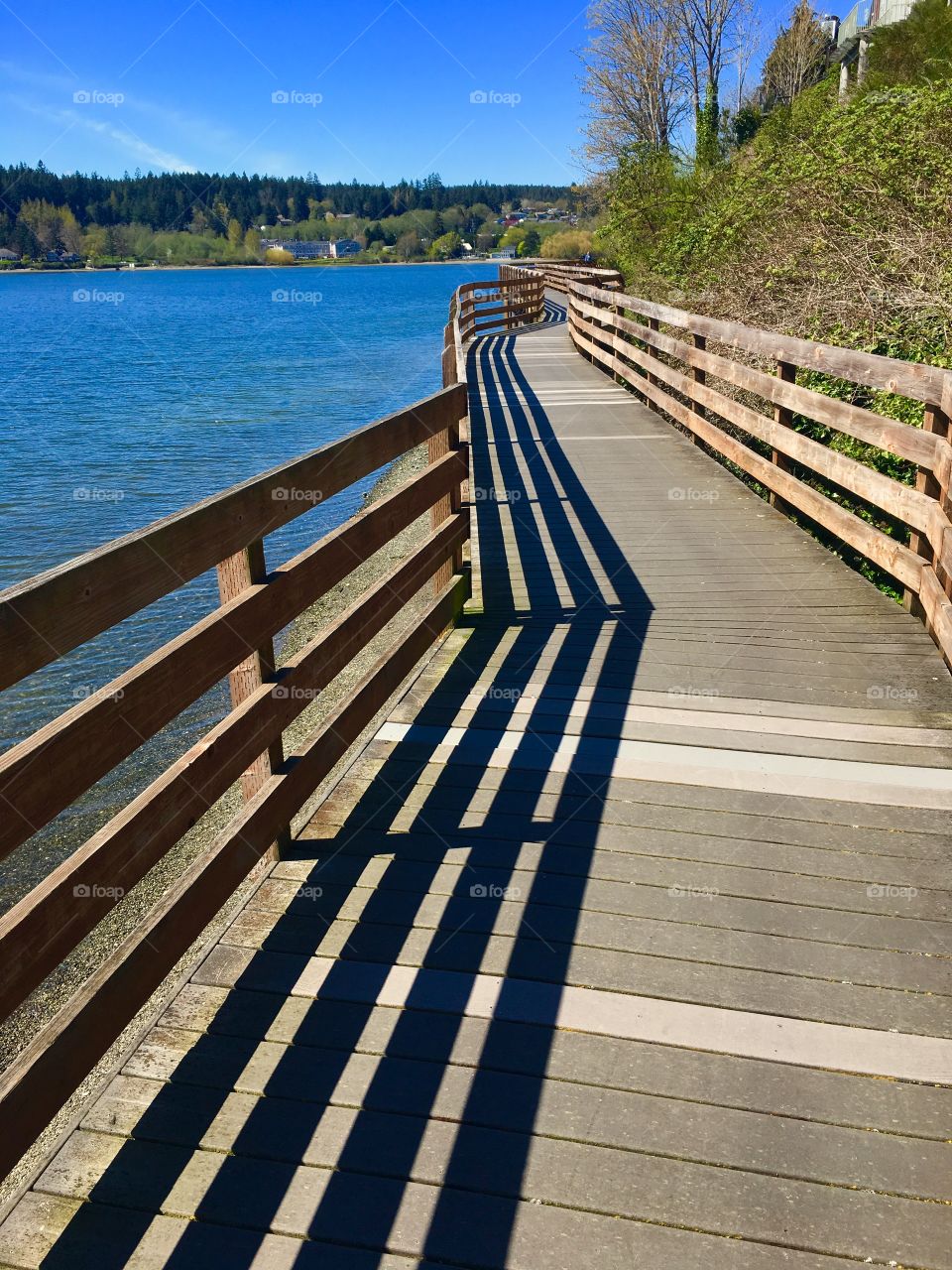 Waterfront Boardwalk 