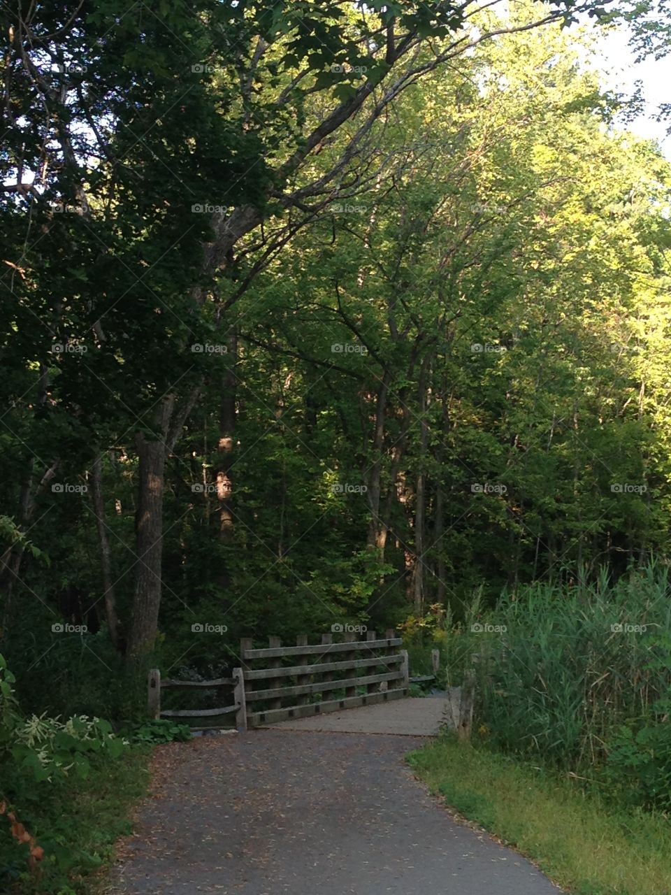 A community trail in beautiful Saratoga Springs, New York