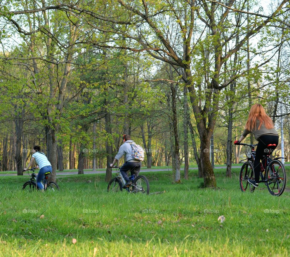 people riding on a bikes in the green park spring time