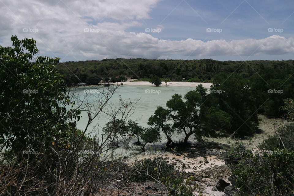 Water, Tree, No Person, Landscape, River