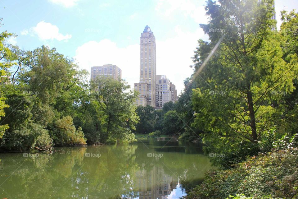 central park lake. A lake in the central Park,  showing the contrast between the city and the nature