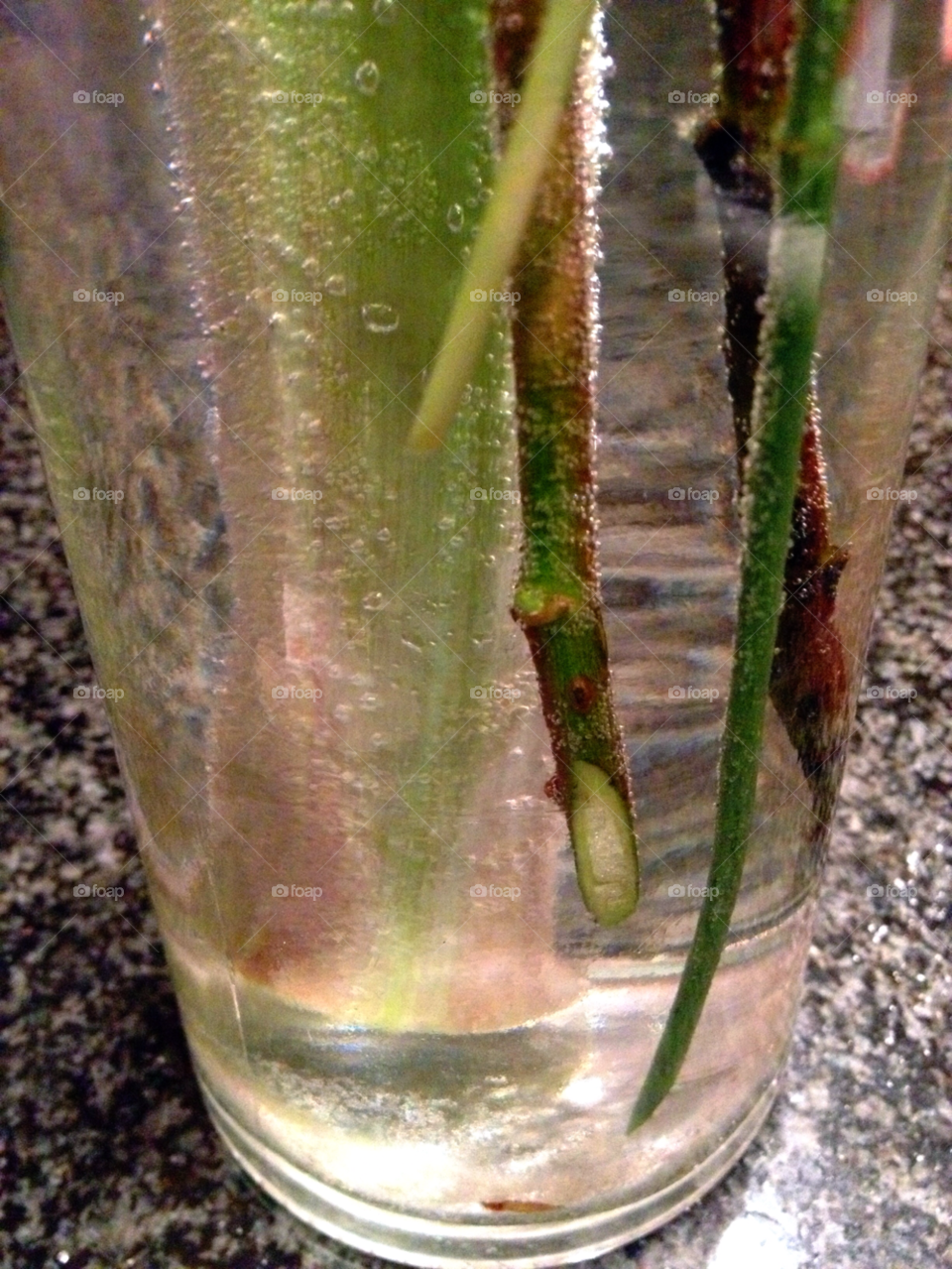 water vatten vase vas by elluca