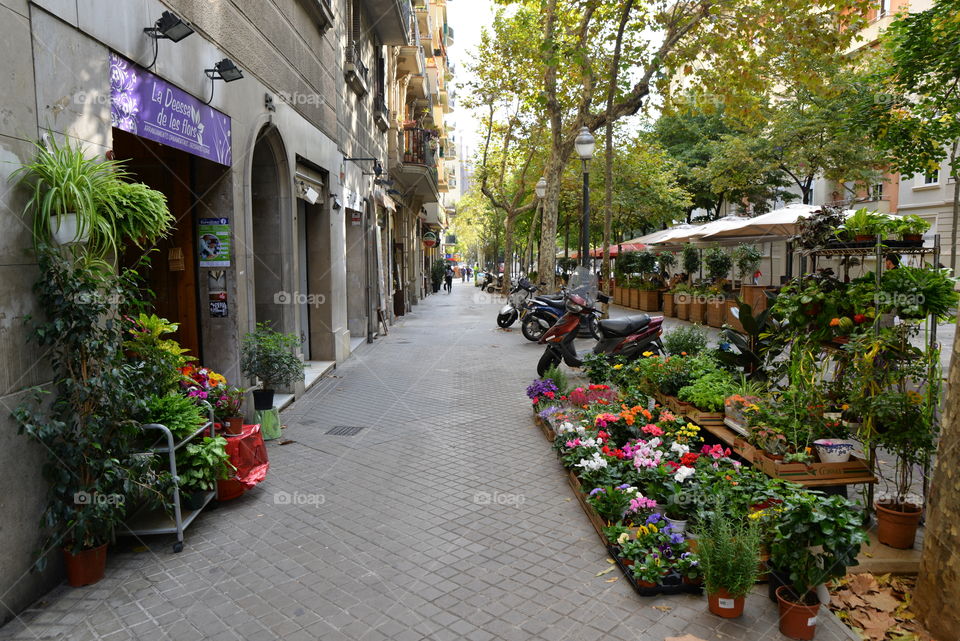 Street in barcelona