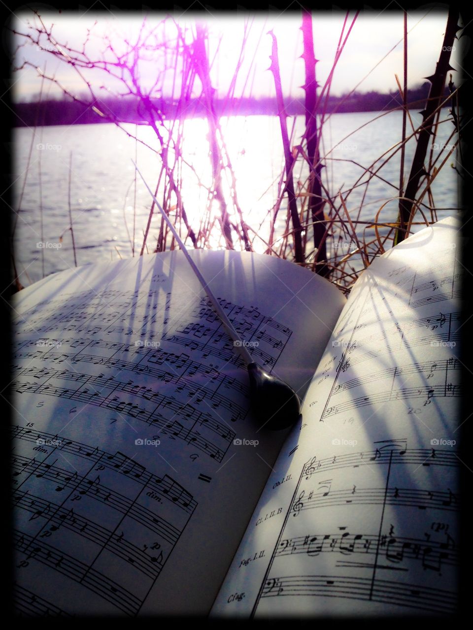 Conductors inspiration . Score study at the lake  