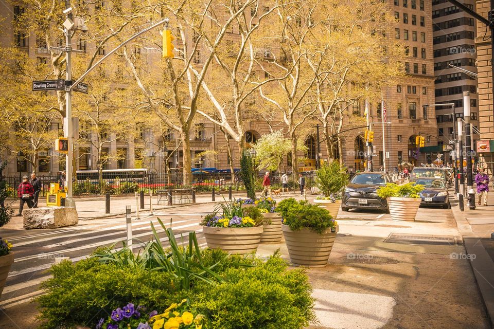 Broadway, Bowling park, early spring